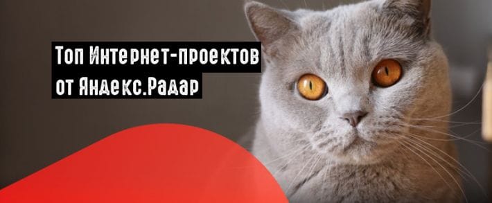 Яндекс.Радар представил список топовых Интернет-проектов