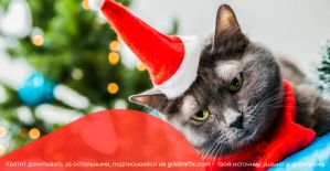 Подарки под елку для арбитражников от Shakes, CPAgetti, DatsPush, PeerClick, AdCombo, PropellerAds и ePN