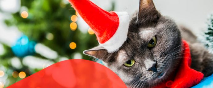 Подарки под елку для арбитражников от Shakes, CPAgetti, DatsPush, PeerClick, AdCombo, PropellerAds и ePN