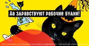 Telegram запускает анонимные опросы, а myTarget представил post-view атрибуцию офлайн-конверсий