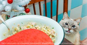 Кто остался в живых после Нового года