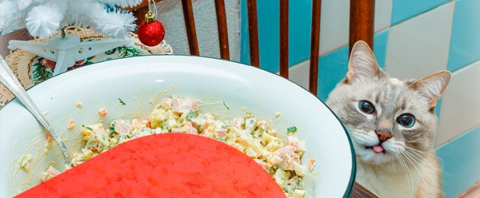 Кто остался в живых после Нового года