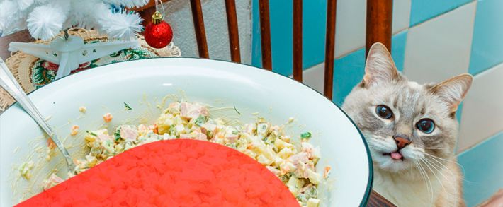 Кто остался в живых после Нового года