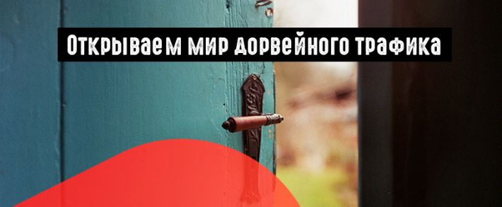 Доры или дорвеи: что такое, как настраивать, как использовать, как зарабатывать?
