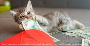 iMonetizeIt платит за кейсы, и чего ждать от Sempro и FinAdTech