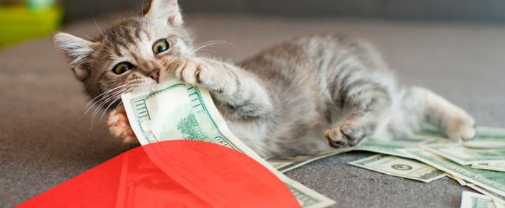 iMonetizeIt платит за кейсы, и чего ждать от Sempro и FinAdTech