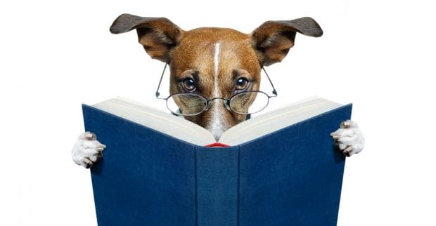 5 книг, которые помогут тебе стать крутым бурж-арбитражником