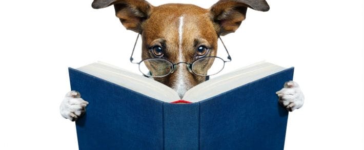 5 книг, которые помогут тебе стать крутым бурж-арбитражником