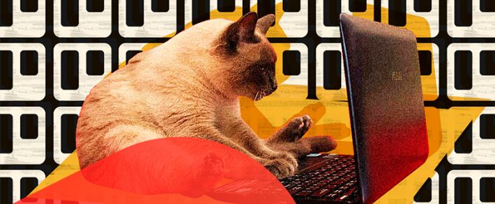 Admitad проводит марафон на миллион гривен, а ClickDealer запустил весеннюю бонусную программу