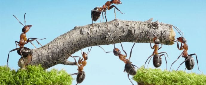 Яндекс пустил интерактив в медийку