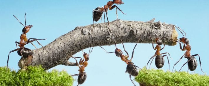 Яндекс пустил интерактив в медийку