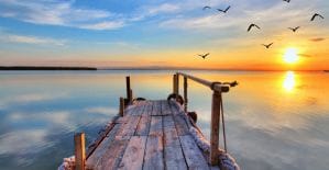 Сколько KMA платит за любовные признания и кто делает витрины за 6 дней до праздника, если доставка занимает неделю, читай в дайджесте партнерок №26 (13 - 19 февраля)