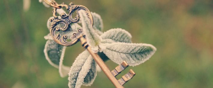 Под прицелом: Keysa  сервис для составления рекламных кампаний Яндекс.Директ и Google Adwords