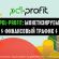 PDL-Profit: международная CPA-сеть в финансовой вертикали