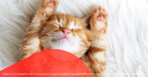 Admitad запускает ежегодный China Fest, а WelcomePartners разыгрывает iPhone 11 Pro