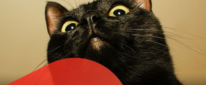 Самый черный день в году