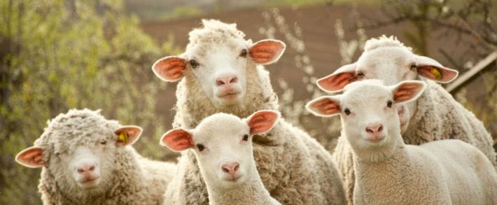 Opera выкатила браузер со встроенным адблокером