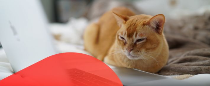 CPA-партнерки раздают ценные призы