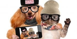 Google увеличит влияние mobile-friendly на мобильную выдачу