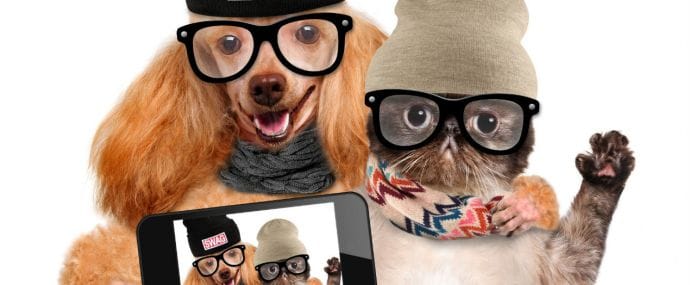 Google увеличит влияние mobile-friendly на мобильную выдачу