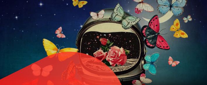 Admitad проводит состязание, PDL Profit забрали Audi Q8 из салона, стартовала гонка Формула Everad 2020 и CPA1 повысили ставки на финансовые офферы