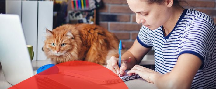 Четыре акции недели: Admitad открывает доступ к курсам по арбитражу, а Lucky Partners разыгрывает 5 000 000 рублей