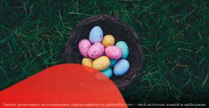 Командный марафон от Traffic Light и профитная акция от BuyMedia