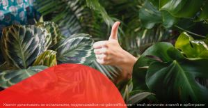 Что партнерки подготовили к майским праздникам