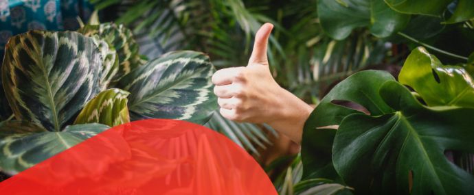 Что партнерки подготовили к майским праздникам