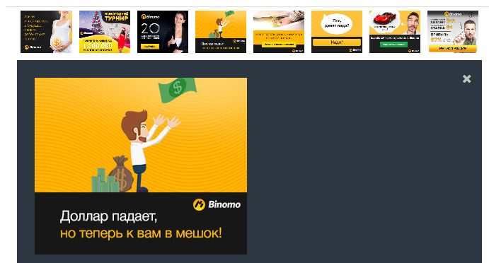 BinPartner