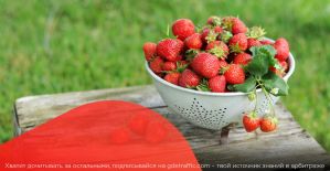 MostBet раздает гаджеты Apple, а WelcomePartners готовит полезный онлайн-митап