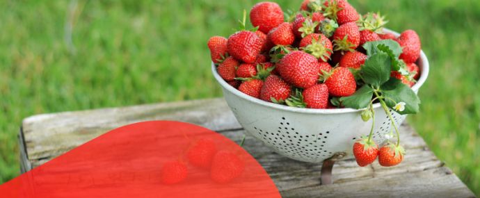 MostBet раздает гаджеты Apple, а WelcomePartners готовит полезный онлайн-митап