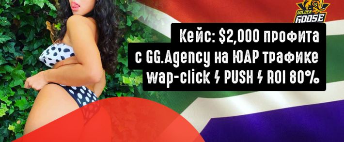 2000 баксов профита на ЮАР wap-click от Golden Goose за 20 дней
