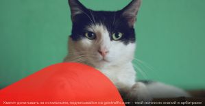 OFFERRUM и ZaleyCash дарят до 25% к рекламному бюджету, а Leadgid готовиться провести первый розыгрыш призов