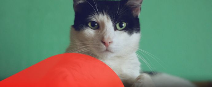 OFFERRUM и ZaleyCash дарят до 25% к рекламному бюджету, а Leadgid готовиться провести первый розыгрыш призов