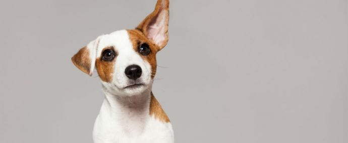 Facebook запускает