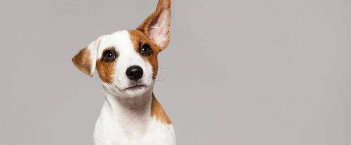 Facebook запускает