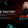 PIN-UP Partners: Прямой рекламодатель с сильным retention