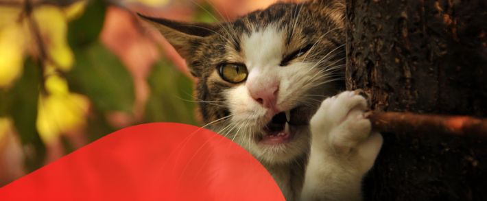 Готовимся к осеннему сезону