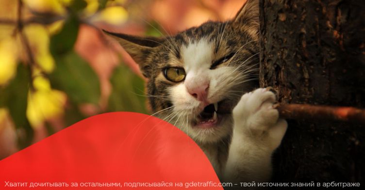 Готовимся к осеннему сезону