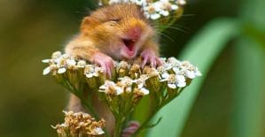 Подборка: 5 офферов марта, которые нас порадовали