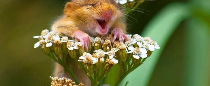 Подборка: 5 офферов марта, которые нас порадовали