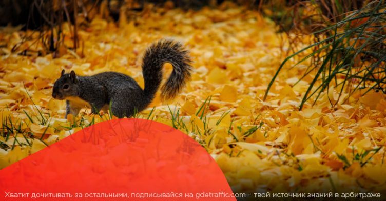 Марафон осенних активностей