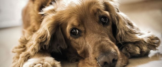 Рынок рекламы в России за полгода сдулся на 16%