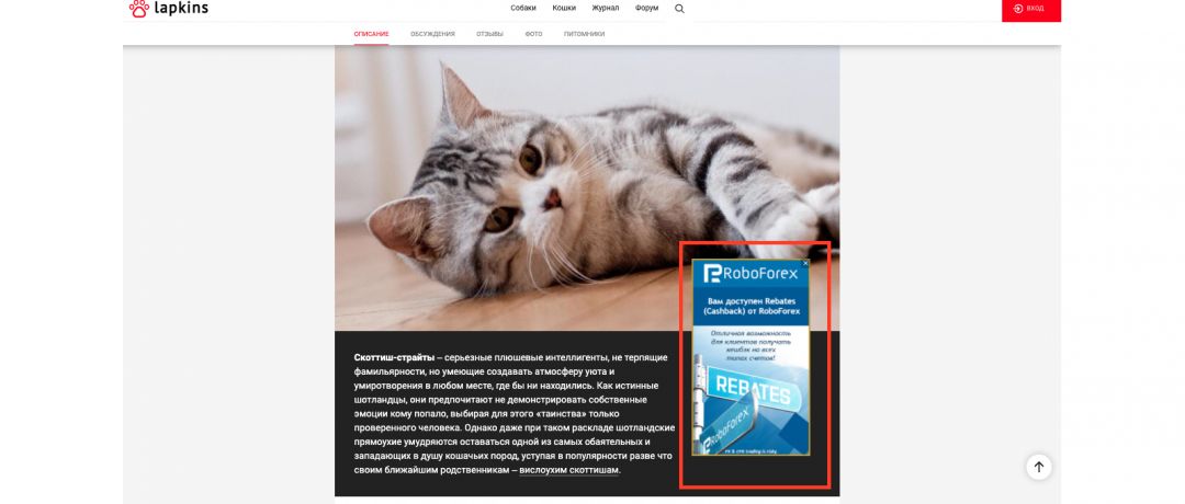 Какие виды рекламных сетей встречаются в арбитраже трафика?