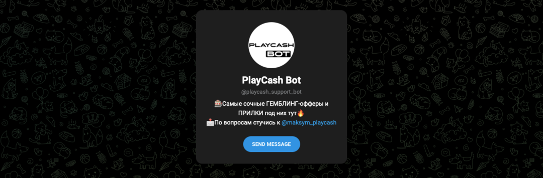 PlayCash: партнерка для заработка на азартном трафике