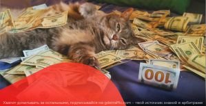 Деньги за лайки и спасибо на хлеб. Что еще для тебя приготовили партнерки?