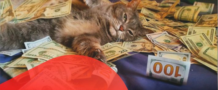 Деньги за лайки и спасибо на хлеб. Что еще для тебя приготовили партнерки?