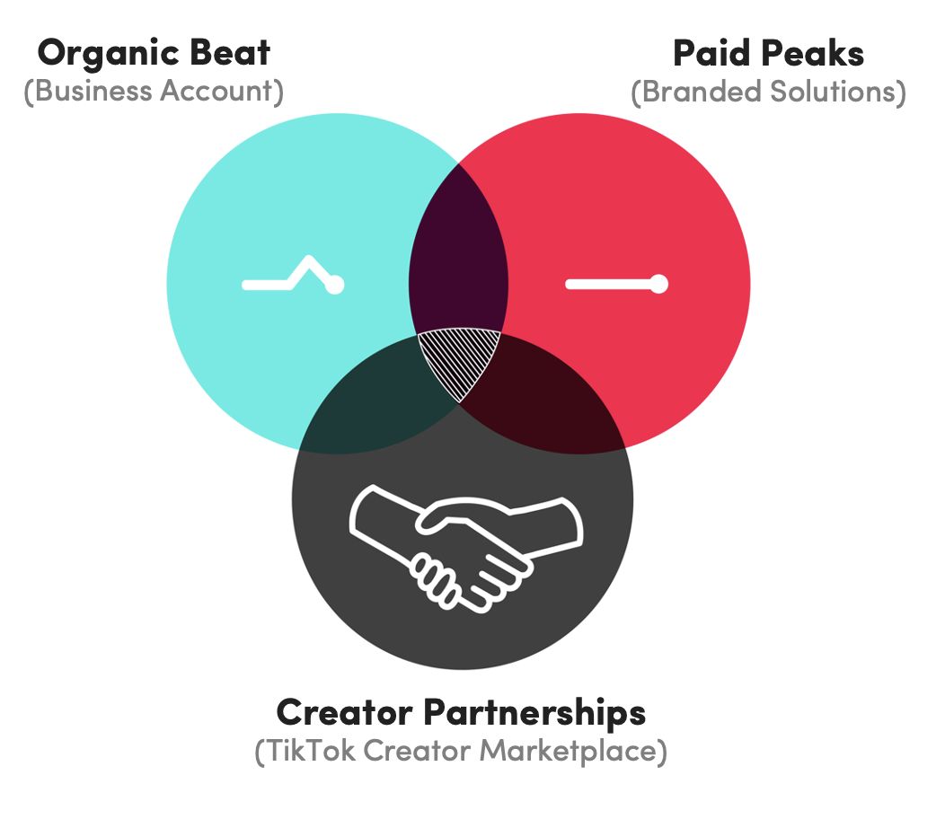 TikTok для бизнеса: как разработать стратегию