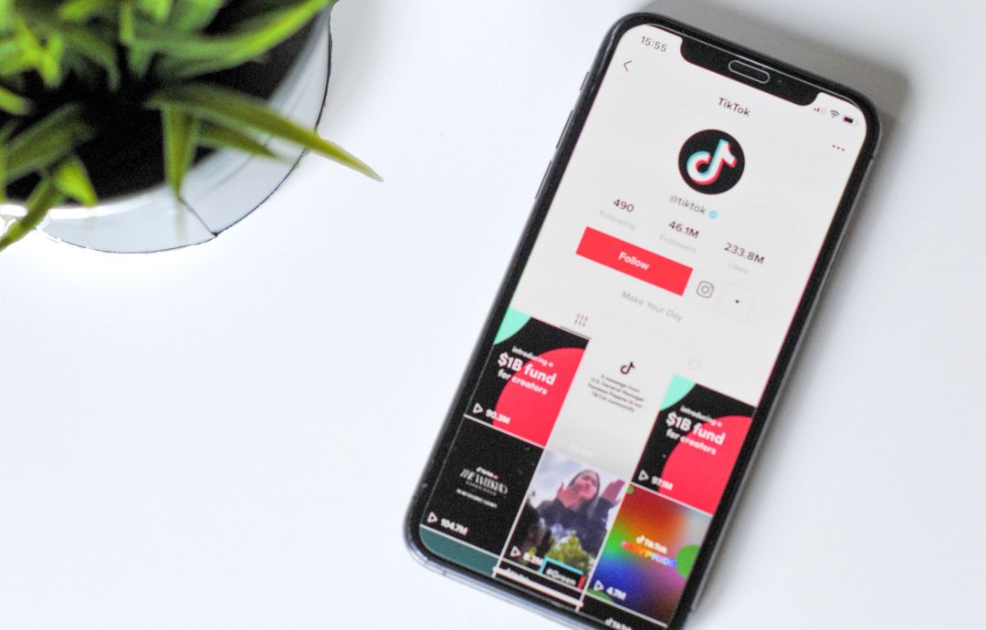TikTok в помощь малому бизнесу